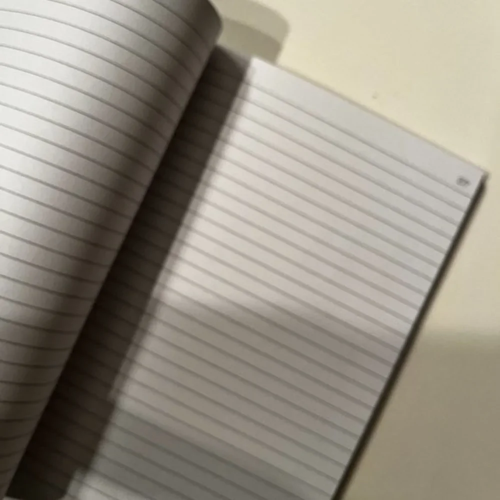 Sarcastic Journal / Notes from a Zoom Meeting That Should Have Been an‎ Email